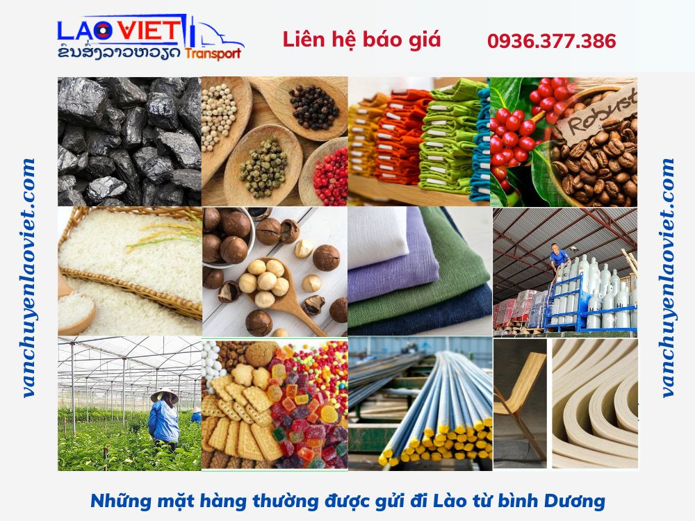 nhung-mat-hang-thuong-duoc-gui-di-lao-tu-binh-duong-vanchuyenlaoviet