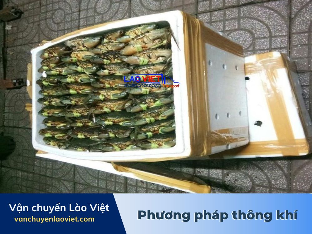 van-chuyen-hai-san-di-xa-bang-phuong-phap-thong-khi-vanchuyenlaoviet