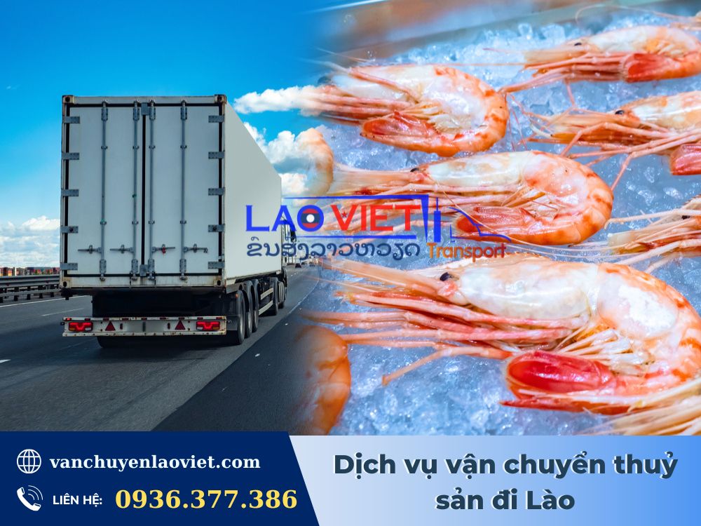 dich-vu-van-chuyen-thuy-san-di-lao-vanchuyenlaoviet
