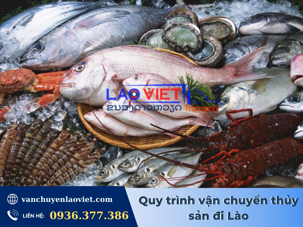 quy-trinh-van-chuyen-thuy-san-di-lao-vanchuyenlaoviet (2)