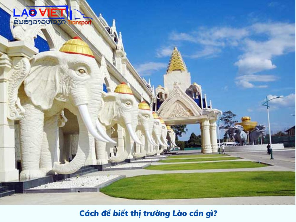 cach-de-biet-thi-truong-lao-can-gi-vanchuyenlaoviet