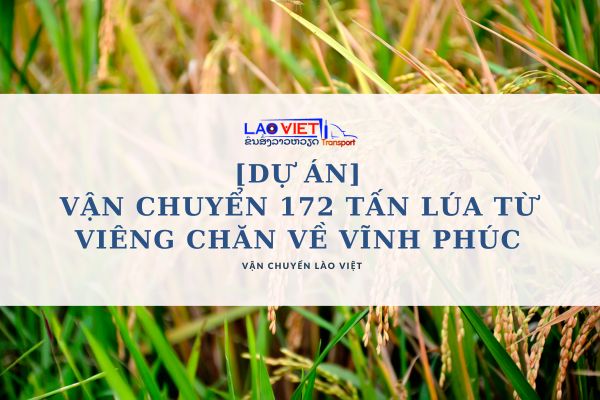 du-an-van-chuyen-172-tan-lua-tu-vieng-chan-ve-vinh-phuc-vanchuyenlaoviet