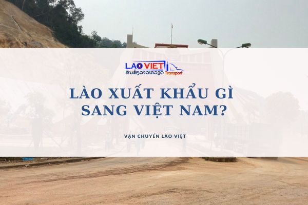 lao-xuat-khau-gi-sang-viet-nam-vanchuyenlaoviet