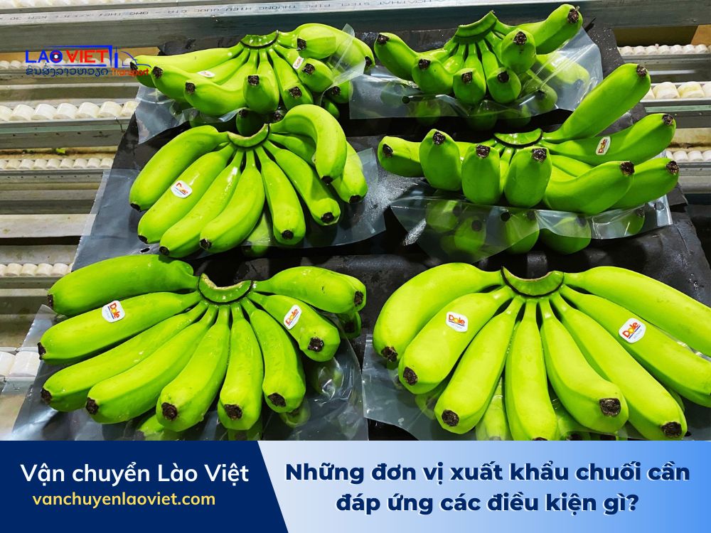 nhung-don-vi-xuat-khau-chuoi-can-dap-ung-cac-dieu-kien-gi-vanchuyenlaoviet