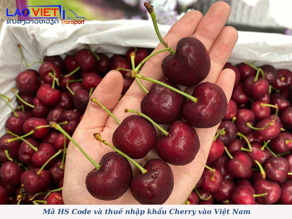 thu-tuc-nhap-khau-cherry-1-vanchuyenlaoviet