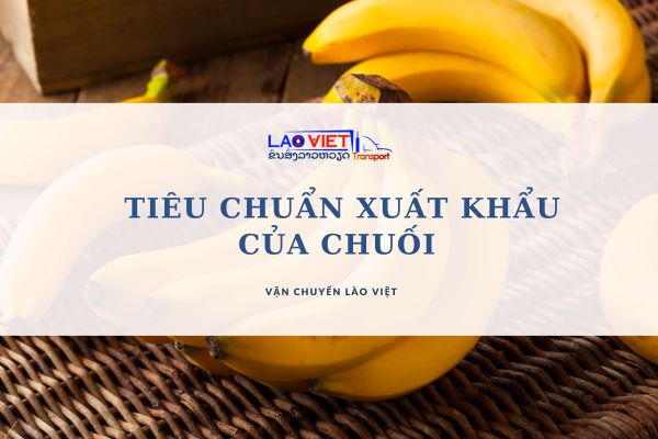 tieu-chuan-xuat-khau-cua-chuoi-vanchuyenlaoviet