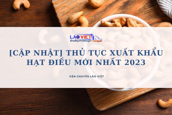 cap-nhat-thu-tuc-xuat-khau-hat-dieu-moi-nhat-2023-vanchuyenlaoviet