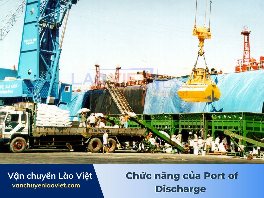 chuc-nang-cua-port-of-discharge-vanchuyenlaoviet