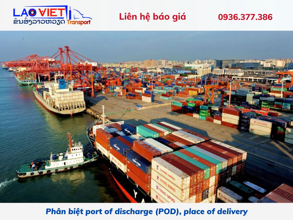phan-biet-port-of-discharge-pod-place-of-delivery-vanchuyenlaoviet