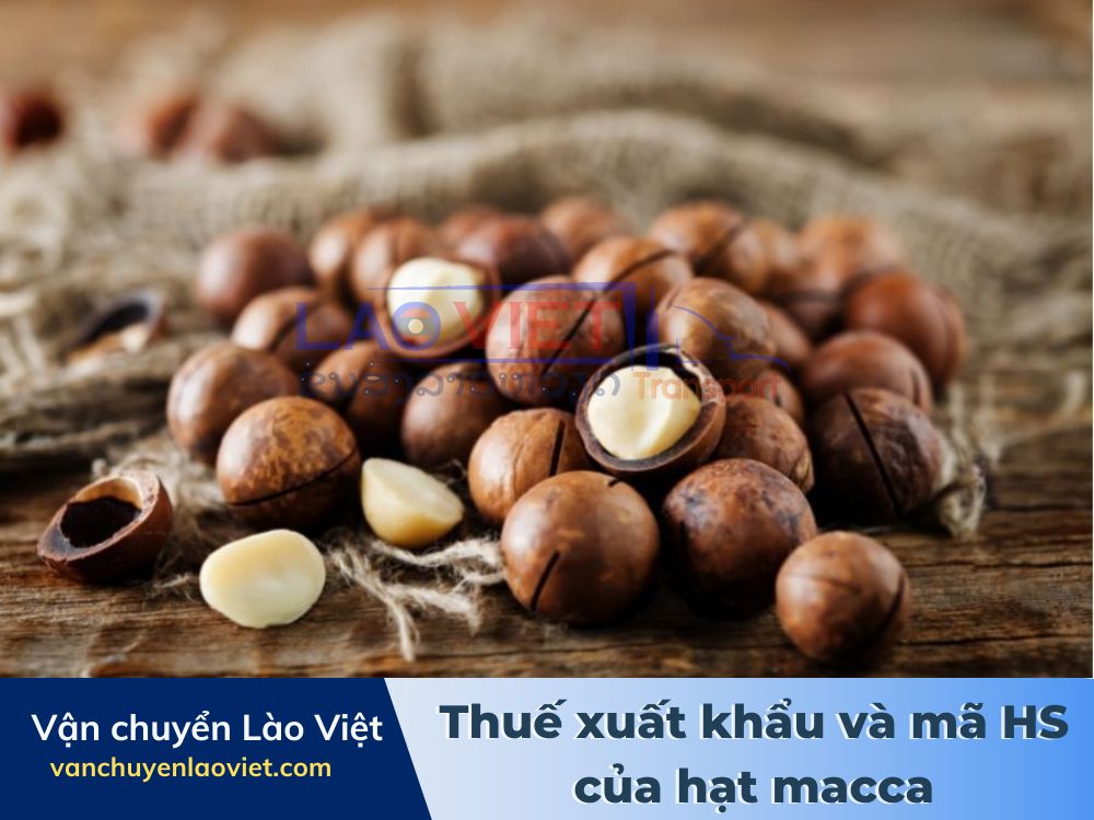 thue-xuat-khau-va-ma-hs-cua-hat-macca-vanchuyenlaoviet