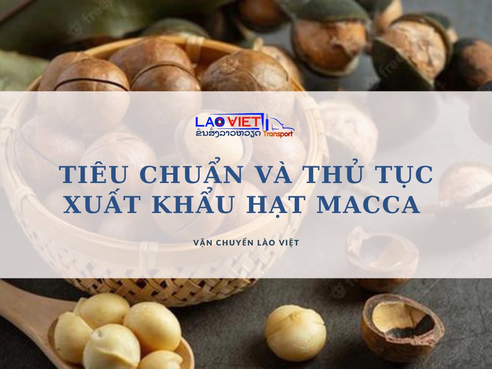 tieu-chuan-va-thu-tuc-xuat-khau-hat-macca-vanchuyenlaoviet