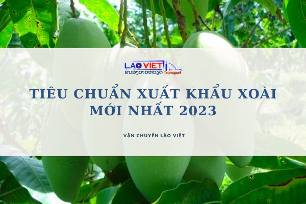 tieu-chuan-xuat-khau-xoai-tuoi-moi-nhat-2023-vanchuyenlaoviet