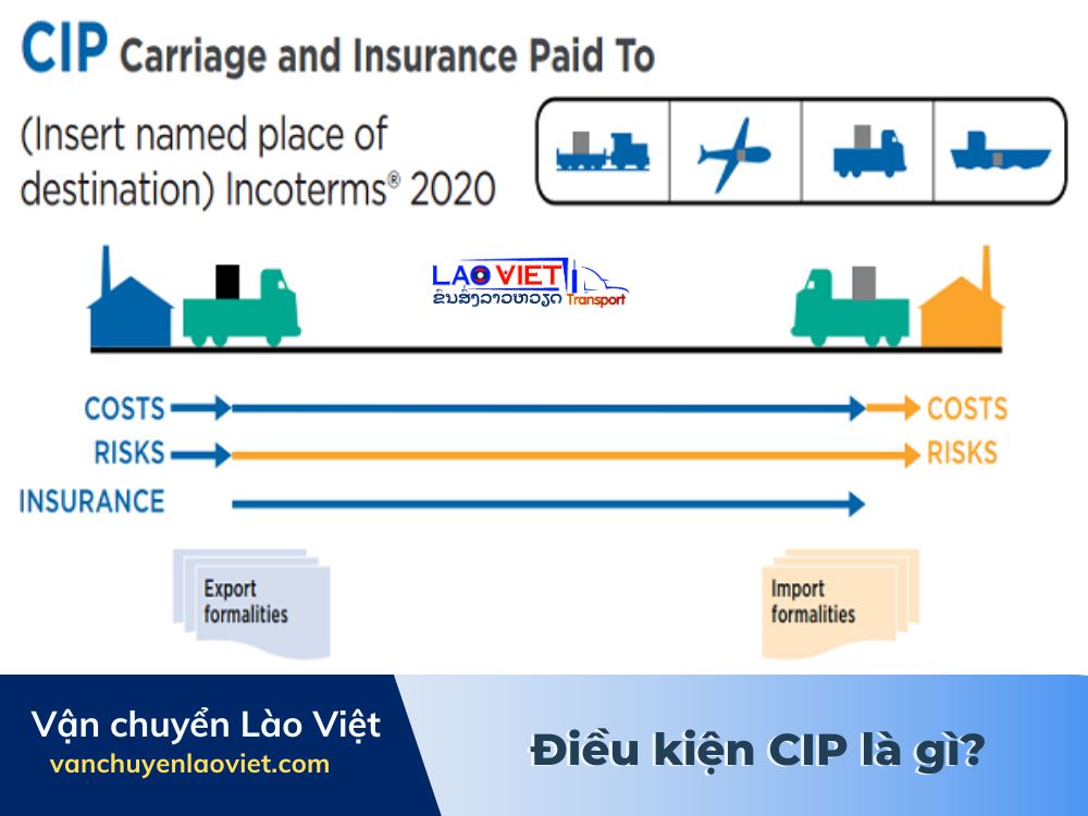 dieu-kien-cip-la-gi-vanchuyenlaoviet