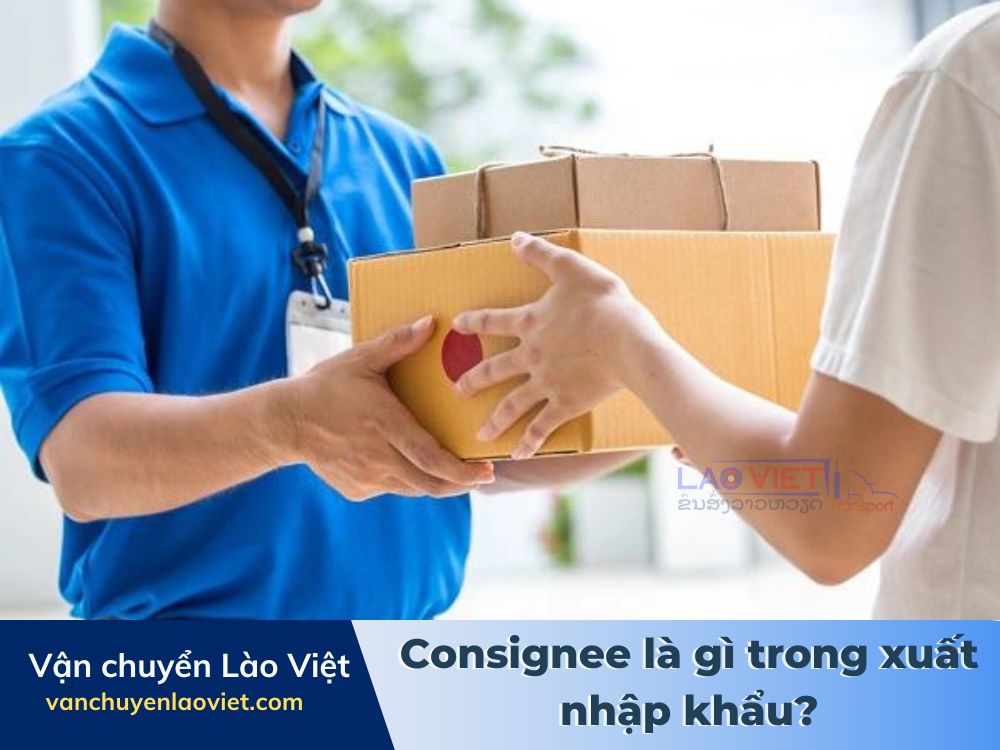 consignee-la-gi-trong-xuat-nhap-khau-vanchuyenlaoviet