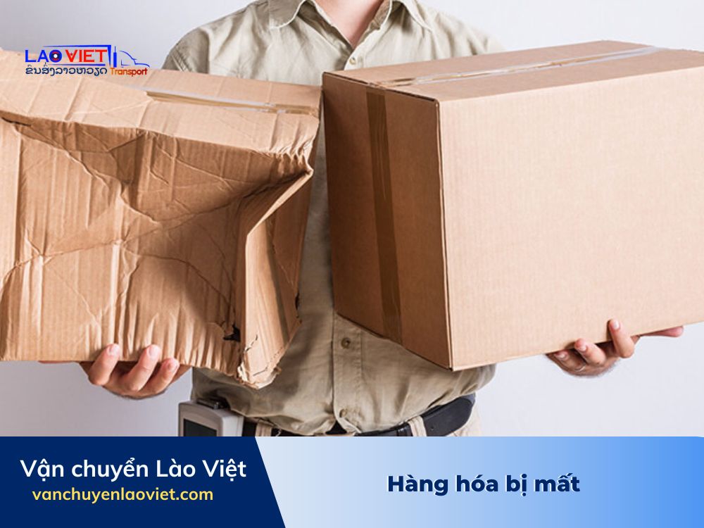 hu-hong-hang-hoa-vanchuyenlaoviet