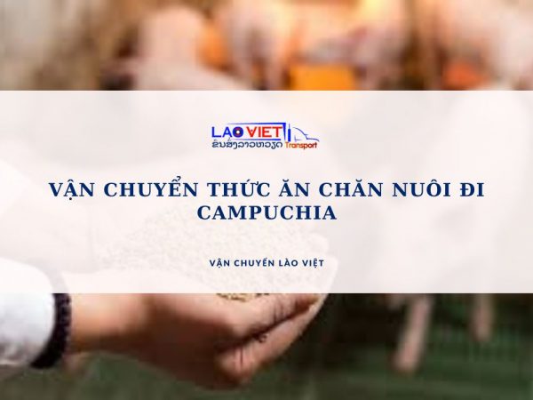 van-chuyen-thuc-an-chan-nuoi-di-campuchia-vanchuyenlaoviet