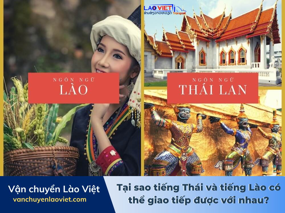 tai-sao-tieng-thai-va-tieng-lao-co-the-giao-tiep-duoc-voi-nhau-vanchuyenlaoviet