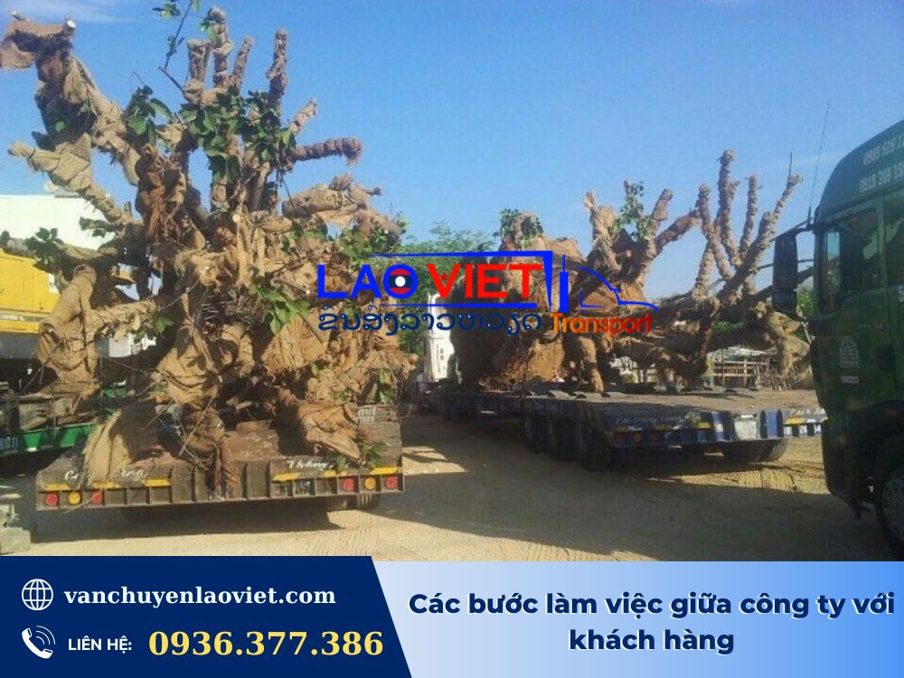 cac-buoc-lam-viec-giua-cong-ty-voi-khach-hang-vanchuyenlaoviet (2)
