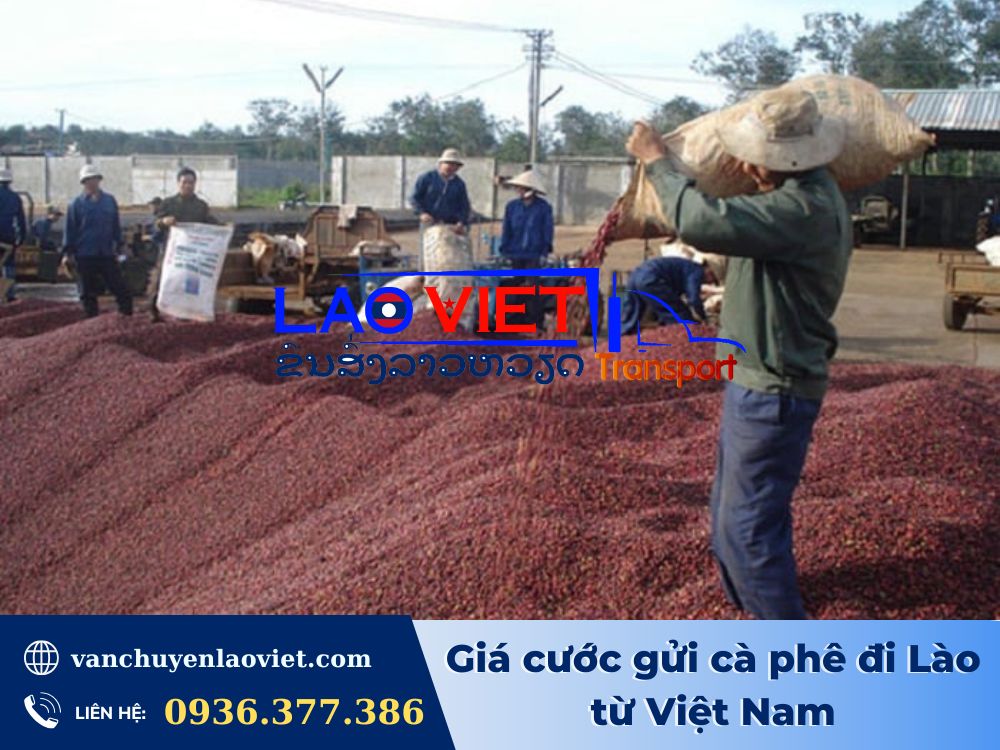gia-cuoc-gui-ca-phe-di-lao-tu-viet-nam-vanchuyenlaoviet