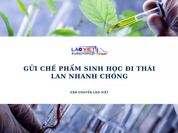 gui-che-pham-sinh-hoc-di-thai-lan-nhanh-chong-vanchuyenlaoviet