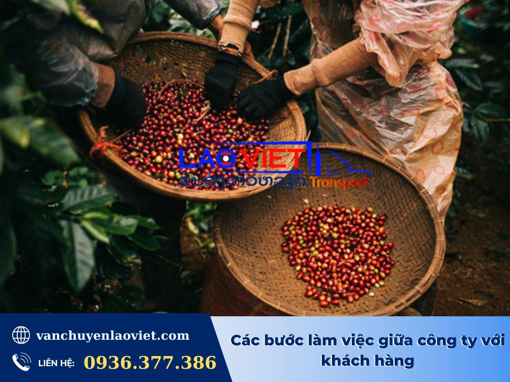cac-buoc-lam-viec-giua-cong-ty-voi-khach-hang-vanchuyenlaoviet (4)