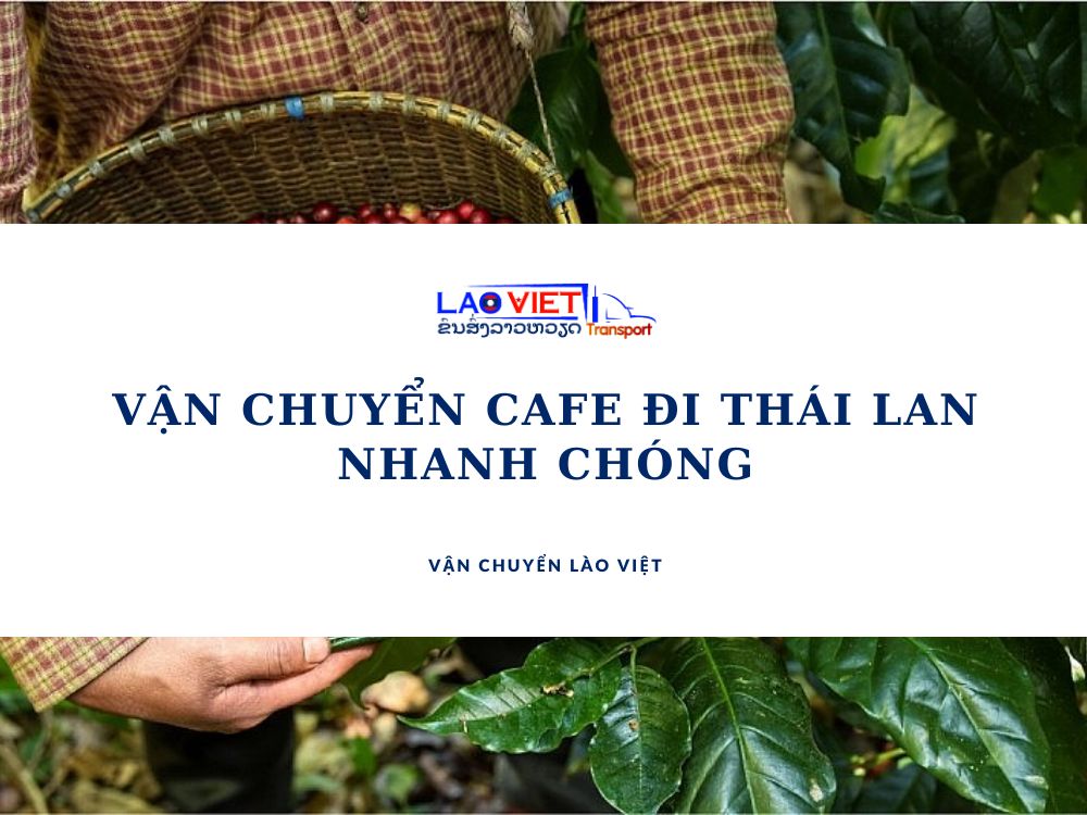 van-chuyen-cafe-di-thai-lan-nhanh-chong-vanchuyenlaoviet
