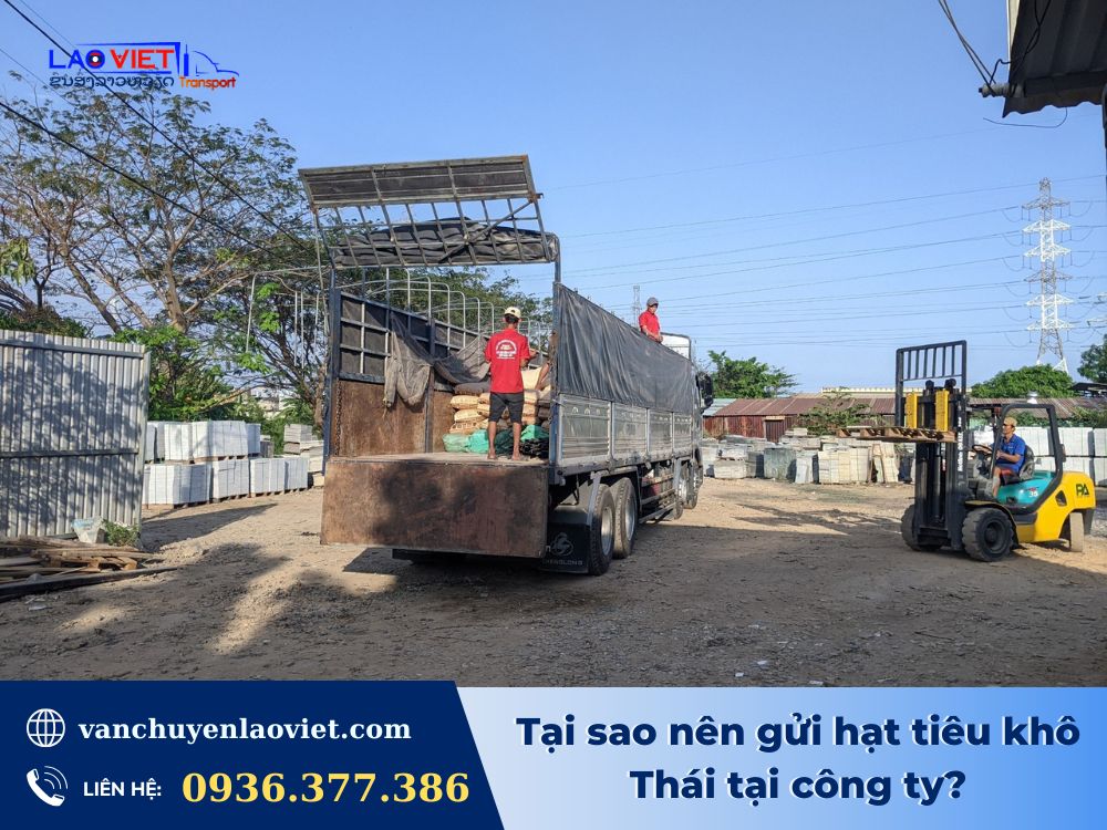 tai-sao-nen-gui-hat-tieu-kho-thai-tai-cong-ty-vanchuyenlaoviet