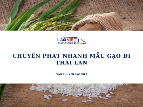 chuyen-phat-nhanh-mau-gao-di-thai-lan-vanchuyenlaoviet (2)