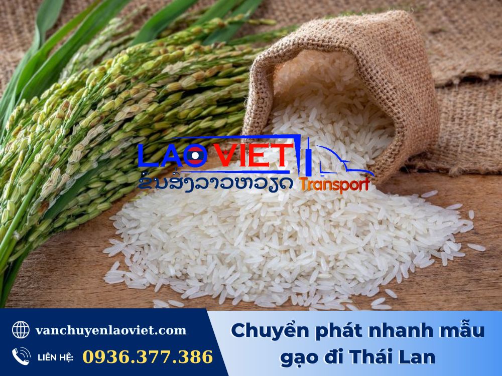 chuyen-phat-nhanh-mau-gao-di-thai-lan-vanchuyenlaoviet