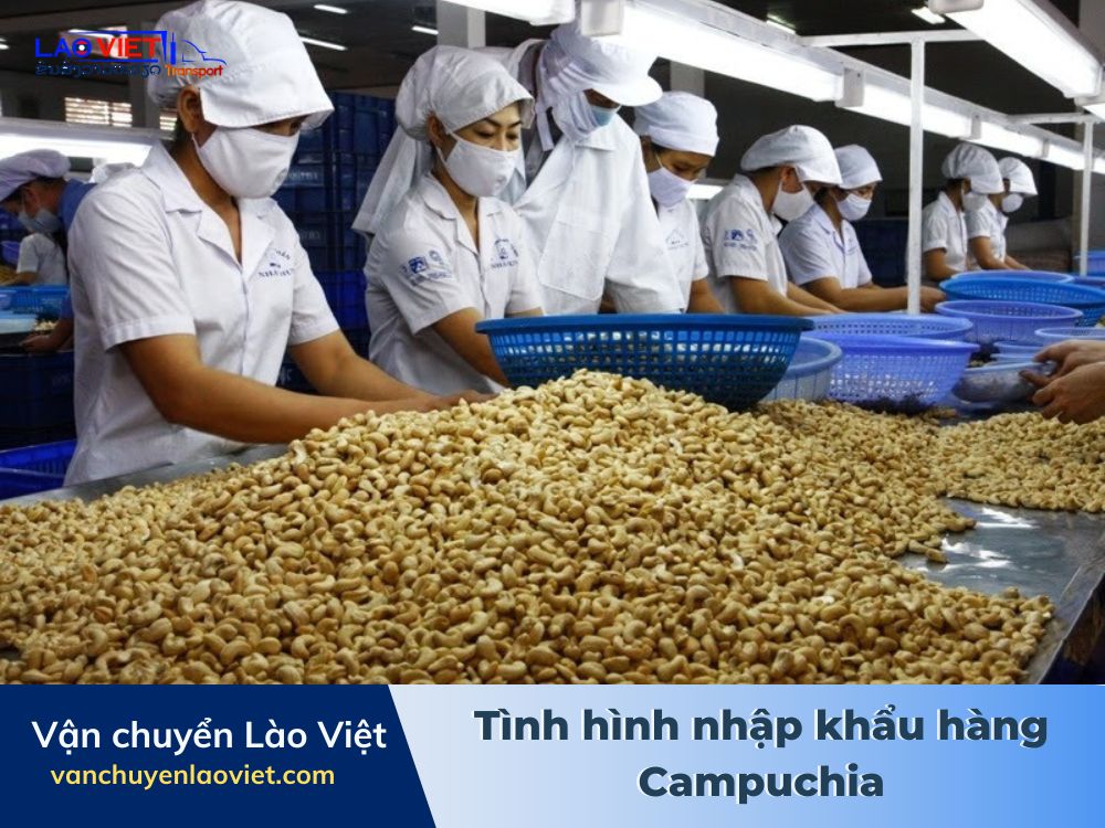 tinh-hinh-nhap-khau-hang-campuchia-vanchuyenlaoviet