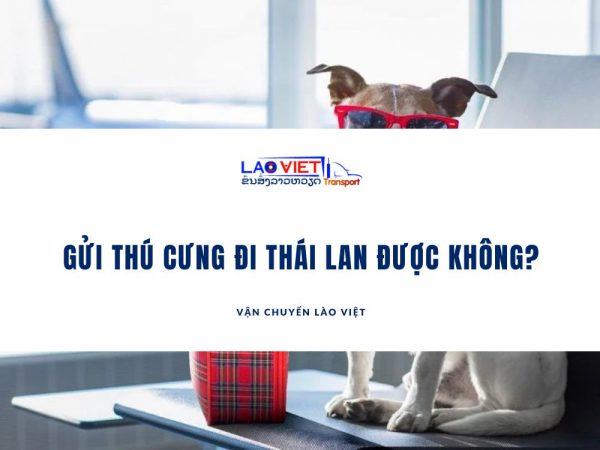 gui-thu-cung-di-thai-lan-duoc-khong-vanchuyenlaoviet