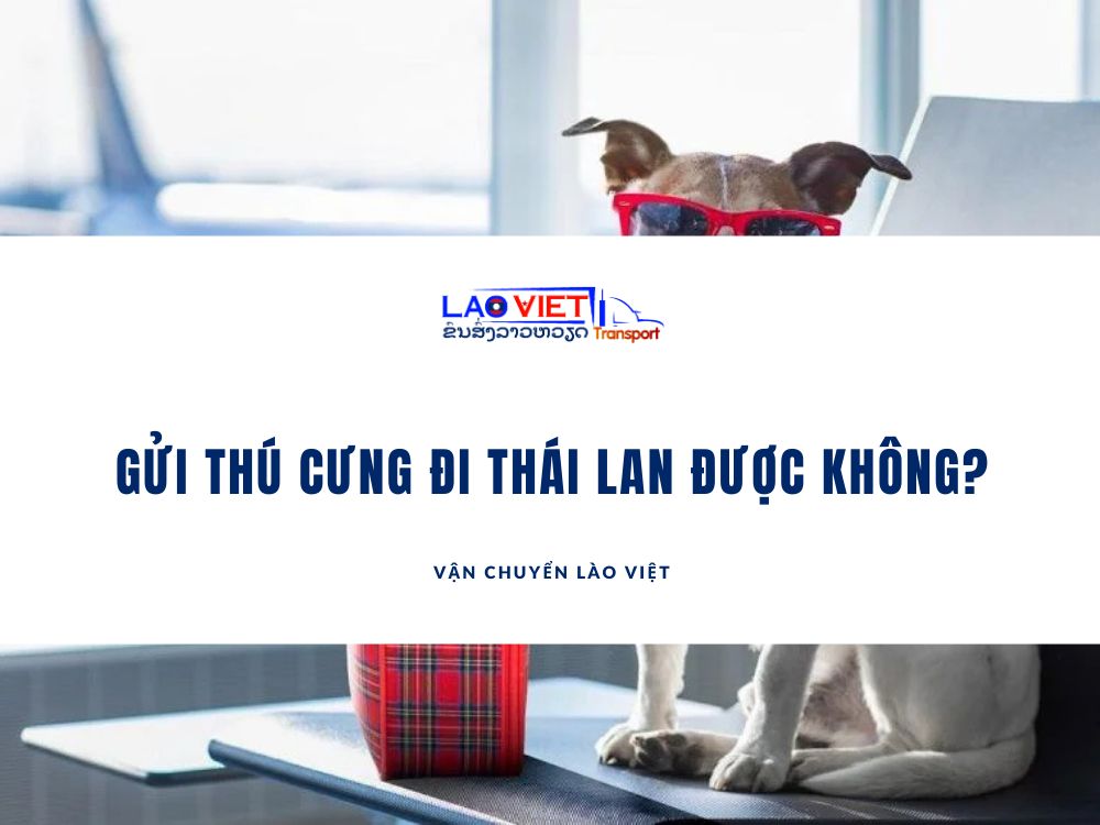 gui-thu-cung-di-thai-lan-duoc-khong-vanchuyenlaoviet