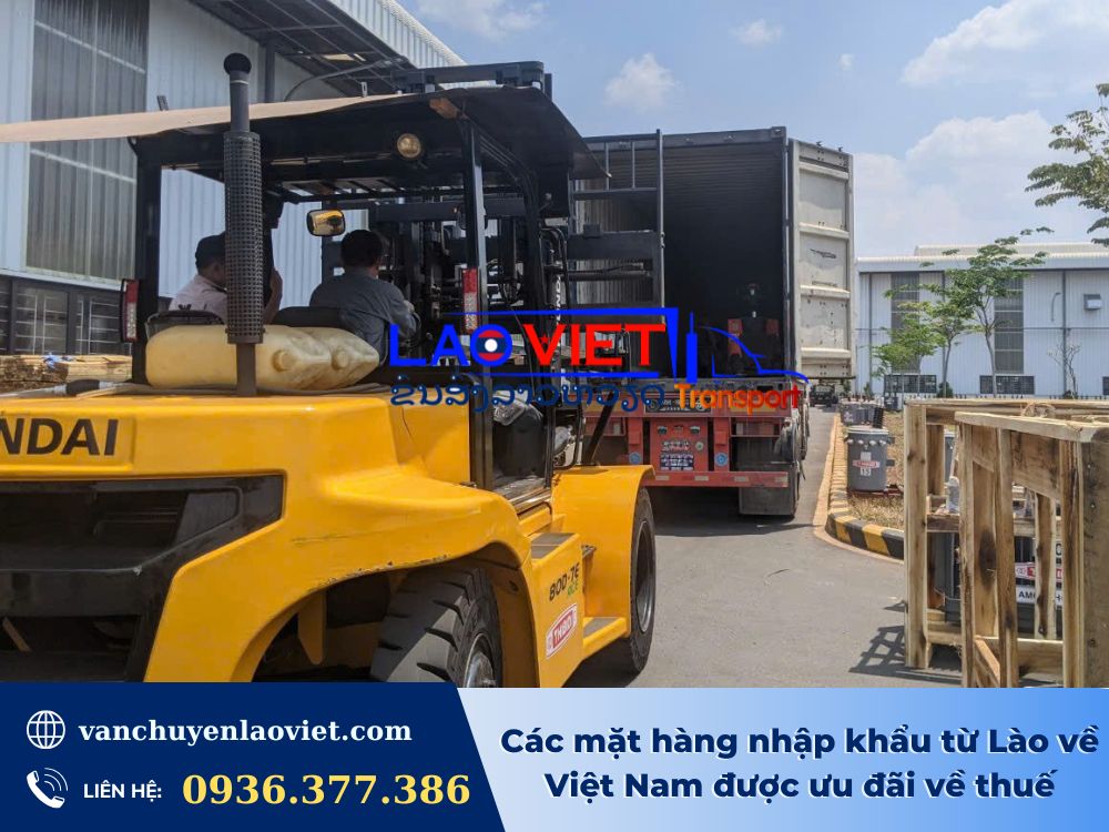 cac-mat-hang-nhap-khau-tu-lao-ve-viet-nam-duoc-uu-dai-ve-thue-vanchuyenlaoviet (2)