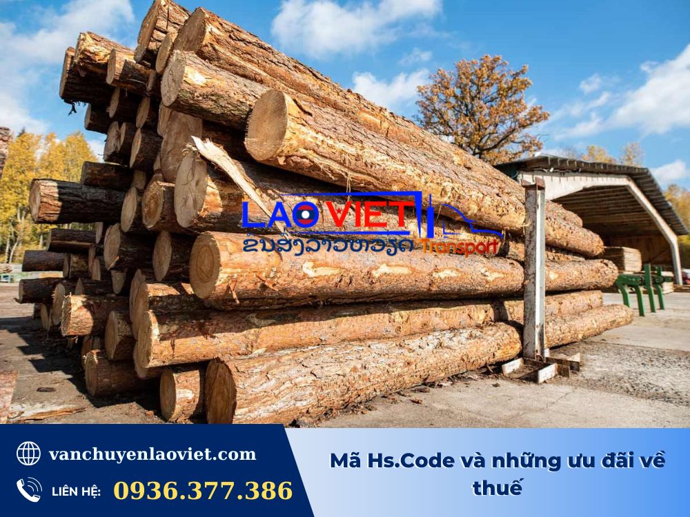 ma-hscode-va-nhung-uu-dai-ve-thue-vanchuyenlaoviet