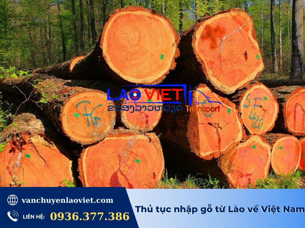 thu-tuc-nhap-go-tu-lao-ve-viet-nam-vanchuyenlaoviet